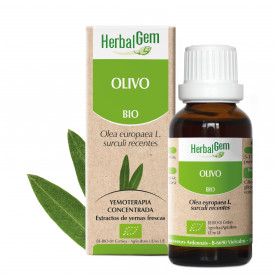 OLIVO - 15 ml | Inula