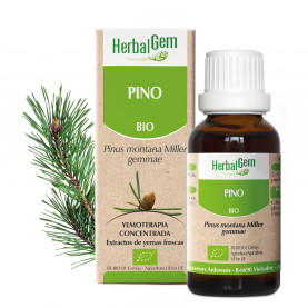 PINO - 15 ml | Inula