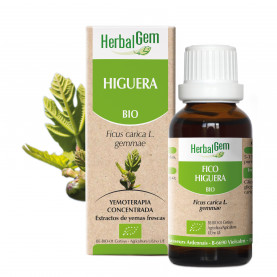 HIGUERA - 50 ml | Inula