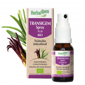 Transigem - spray - 10 ml | Inula