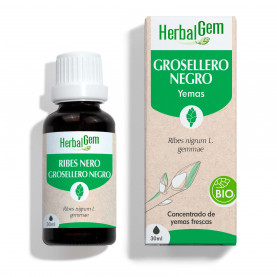 Grosellero Negro Bio Gotas 30 ml - 30 ml | Inula