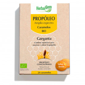 Caramelos Propóleo Garganta - 24 chicles | Inula