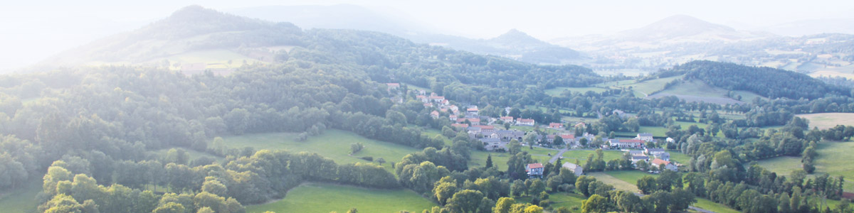 Grupo Inula - Auvernia Biofloral