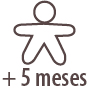 a partir de los 5 meses